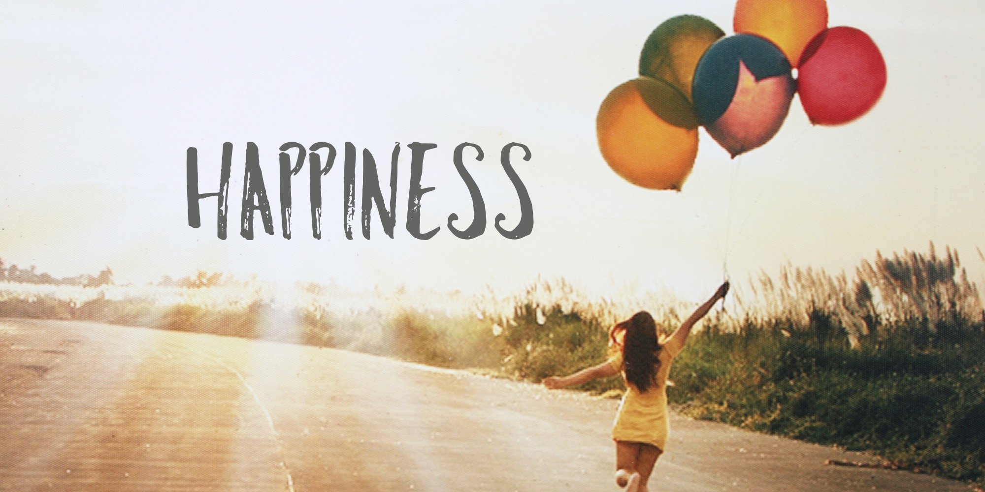 ખુશી કોને કહેવાય? | chitralekha