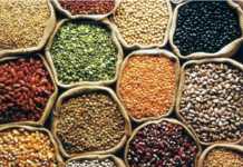 છેલ્લાં દસ વર્ષોમાં દેશના ખાદ્યાન્ન ઉત્પાદનમાં 10 કરોડ ટનનો વધારો