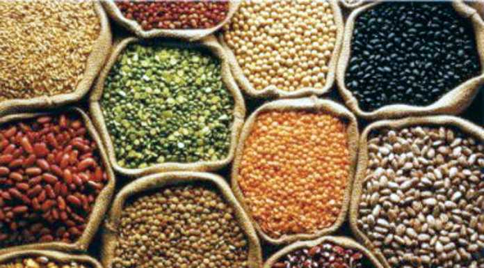 છેલ્લાં દસ વર્ષોમાં દેશના ખાદ્યાન્ન ઉત્પાદનમાં 10 કરોડ ટનનો વધારો