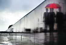 ગુજરાતમાં 47 તાલુકામાં વરસાદ, મગફળીના પાકને ભારે નુકસાન