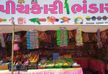 આ વખતે બજારમાં પિચકારીઓ અને કલર્સમાં શું છે નવી વેરાયટી?