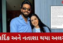 BIG NEWS : હાર્દિક પંડ્યા અને નતાશાએ લીધા છૂટાછેડા