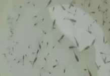 વરસાદી વિરામ બાદ અમદાવાદમાં રોગચાળો વકર્યો