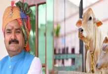 ગૌશાળામાં ઊઠવા, સૂવાથી ઠીક થશે કેન્સરઃ મંત્રીનો દાવો