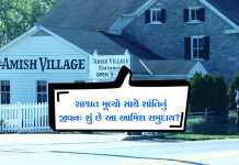 શાંતિ, સાધગી અને આધ્યાત્મની અનોખી દુનિયા એટલે આમિશ સમુદાયનો વસવાટ.