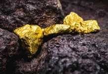 રાજસ્થાનનાં ચાર ગામોમાં મળ્યો સોનાનો મોટો ખજાનો