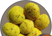 મગની દાળની ઈડલી