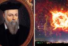 2025 માં દુનિયાનો અંત આવશે, નાસ્ત્રેદમસની ભવિષ્યવાણી