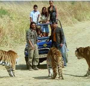 ફિલ્મ ‘કાલ’ માં અસલ વાઘનો ઉપયોગ થયો હતો!