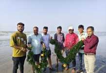 ‘બ્લૂ રેવોલ્યુશન’: દરિયામાં ઉગતી નવી સમૃદ્ધિ એટલે સીવીડ ફાર્મિંગ