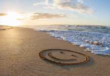 મનના દુઃખને દૂર કરીને સુખ જન્માવે એવી કોઈ ભૌતિક વસ્તુ નથી