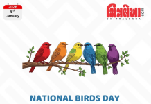 National Bird Day : કયું પક્ષી કયા રાજ્યની ઓળખ છે? આખી યાદી જુઓ