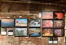 અખિલ ભારતીય ફોટો એક્ઝિબિશન ‘લેન્ડસ્કેપ કેરલ’નું વડોદરામાં આયોજન