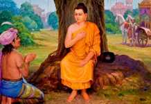 કબીરવાણી: સિદ્ધિનું મૂલ્ય પ્રસિદ્ધિમાં નથી