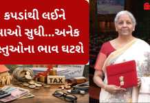 Budget 2026 : જાણો બજેટમાં શું સસ્તું થશે અને શું મોંઘુ..
