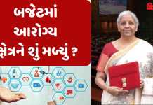 Budget 2026: બાયોફાર્મા, મેડિકલ હબ, વેટરનરી કોલેજ માટે રૂ.10,000 કરોડ