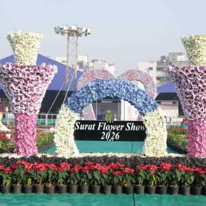 સુરતમાં પુસ્તક મેળાનો પ્રારંભ : શું છે ખાસ જાણો એક ક્લિક પર