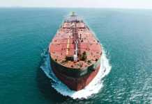 શ્રીલંકાના અંધકાર વચ્ચે ભારત બન્યું આશાનું કિરણ