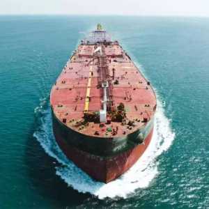 શ્રીલંકાના અંધકાર વચ્ચે ભારત બન્યું આશાનું કિરણ