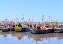 માછીમારોને જૂના રાહત દરે જ મળશે ડીઝલ, સરકારનો મહત્ત્વનો નિર્ણય