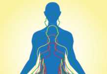 કબીરવાણી: પાંચ વાયુ અને આત્માની ઉડાન