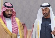 ઓપેકમાંથી બહાર આવી UAEએ સાઉદી-પાકિસ્તાનને બતાવી લાલ આંખ?