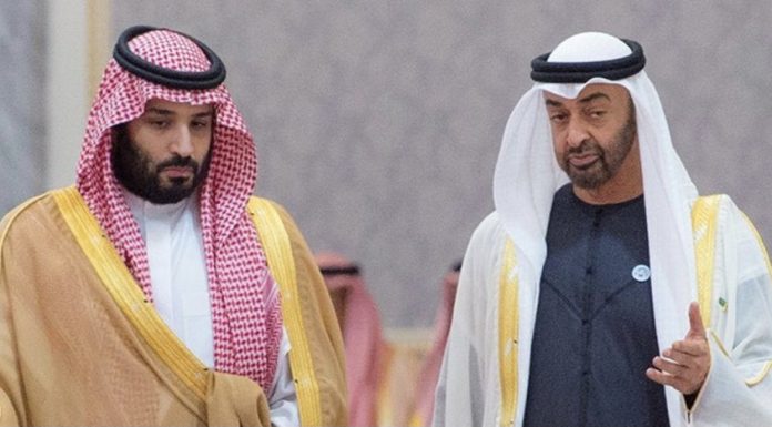 ઓપેકમાંથી બહાર આવી UAEએ સાઉદી-પાકિસ્તાનને બતાવી લાલ આંખ?