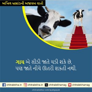 અખિલ બ્રહ્માંડની અજાયબ વાતો