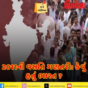 2011ની વસતિ ગણતરી: કેવું હતું ભારત ?