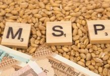 ખુશીના સમાચાર: કેન્દ્ર સરકારે 14 ખરીફ પાકોની MSPમાં કર્યો ધરખમ વધારો
