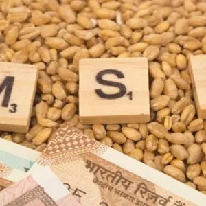 ખુશીના સમાચાર: કેન્દ્ર સરકારે 14 ખરીફ પાકોની MSPમાં કર્યો ધરખમ વધારો