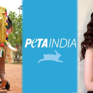 અભિનેત્રી ઝહરા ખાનની તેલંગાણા વકફ બોર્ડને ‘મિકેનિકલ હાથી’ ગિફ્ટ કરવાની ઓફર