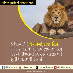 અખિલ બ્રહ્માંડની અજાયબ વાતો