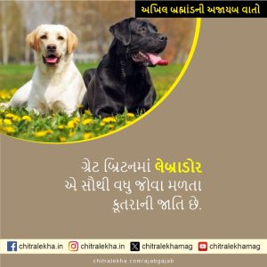 અખિલ બ્રહ્માંડની અજાયબ વાતો