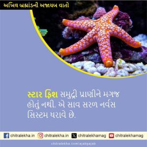 અખિલ બ્રહ્માંડની અજાયબ વાતો