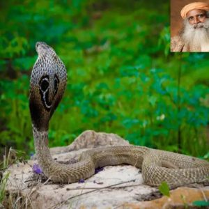 તીવ્રતા અને આરામ: સમજણનું સાચું સંતુલન