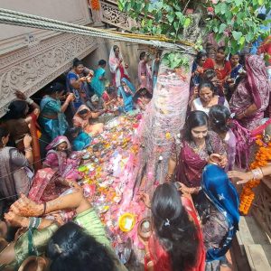 વટ સાવિત્રી વ્રત: વૃક્ષ નીચે આસ્થા સાથે પૂજા અર્ચના