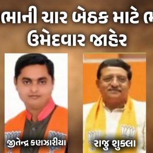 રાજ્યસભાની ચૂંટણી માટે ગુજરાત ભાજપના 4 ઉમેદવાર જાહેર