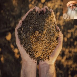 માટીને જીવંત રાખવી એ એક પેઢીગત જવાબદારી છે