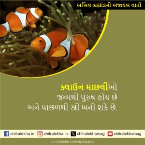 અખિલ બ્રહ્માંડની અજાયબ વાતો