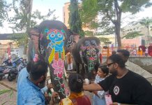 ગત વર્ષે તોફાને ચઢેલા બાબુ સહિતના ગજરાજોને રંગોથી ડિઝાઈન