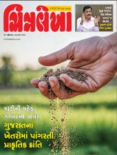 Gujarati Print + e-magazine