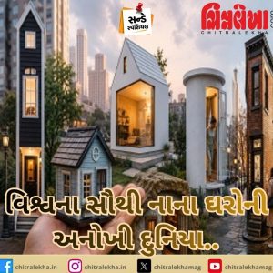 વિશ્વના સૌથી નાના ઘરોની અનોખી દુનિયા…