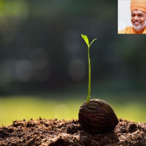 વિચારથી વટવૃક્ષ: ધીરજ અને પુરુષાર્થનો પ્રવાસ