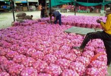 ડુંગળીના ભાવમાં 20% નો ઉછાળો: મોદી સરકારનું મોટું નિવેદન