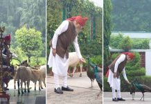 PM મોદીએ ઇન્સ્ટાગ્રામ પર શેર કર્યો મોર અને ગાયોને ચારો ખવડાવતો વીડિયો
