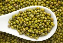 મગની ખરીદીમાં કૌભાંડ: મગની વાવણી નહીં, છતાં સરકારે કરી ખરીદી