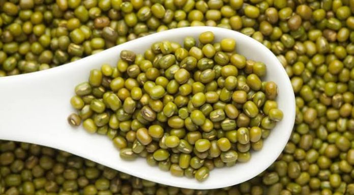 મગની ખરીદીમાં કૌભાંડ: મગની વાવણી નહીં, છતાં સરકારે કરી ખરીદી
