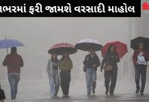 દેશભરમાં ભારે વરસાદની હવામાન વિભાગની આગાહી
