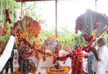 શ્રાવણઃ ઠેર ઠેર નાગ પાંચમ મહોત્સવ